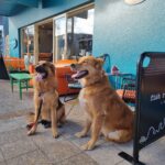 Essence Cafe 6 150x150