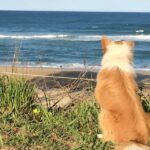 Finns Beach House 900600 3 150x150