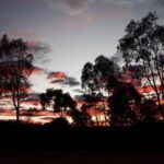 Hill River Nature Reserve 23 150x150