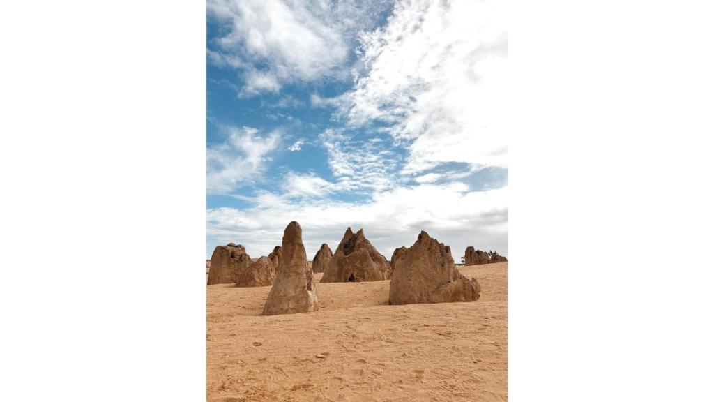 Hill River Nature Reserve 26