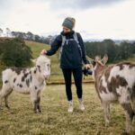 Kenzell Farm Camping 7 150x150