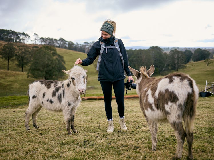 Kenzell Farm Camping 7
