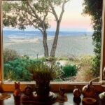 Kookawood 900600 3 150x150