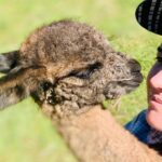 McKeowns Rest 12 150x150