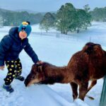 McKeowns Rest 14 150x150