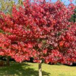 McKeowns Rest 21 150x150