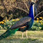 McKeowns Rest 22 150x150