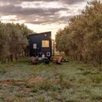 Olive Grove Retreat 11 150x150