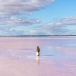 Olive Grove Retreat 17 150x150