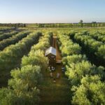 Olive Grove Retreat 2 1 150x150
