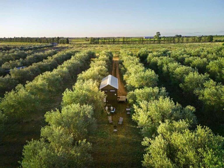 Olive Grove Retreat 2 1 768x576