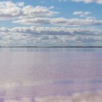 Olive Grove Retreat 2 16 150x150