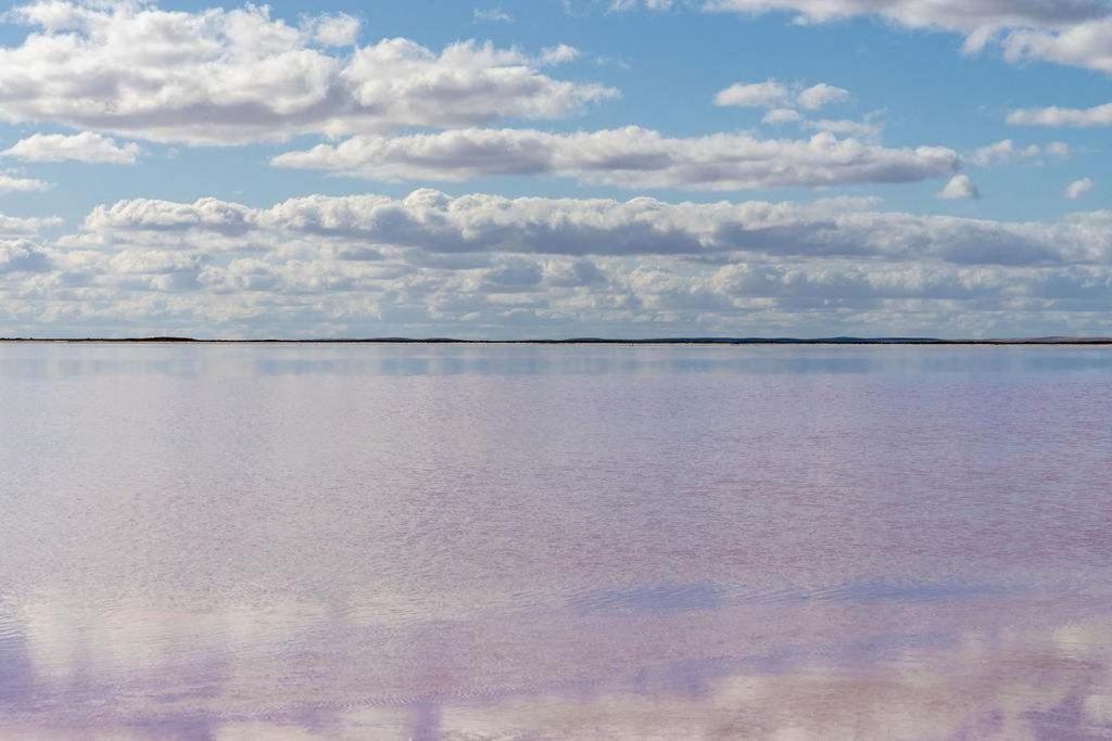 Olive Grove Retreat 2 16