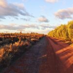 Olive Grove Retreat 3 150x150