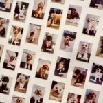 Pets Juicy 2 150x150