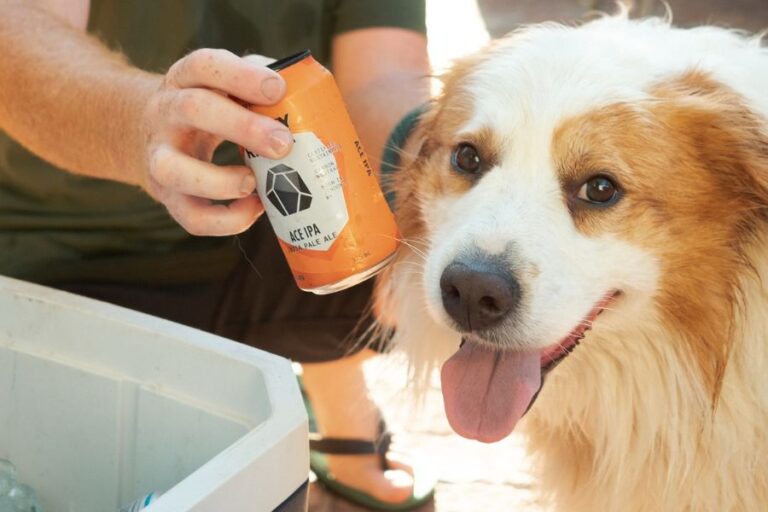 Rocky Ridge Brewing 900600 3 768x512