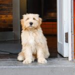 Temperance Hotel 2 150x150