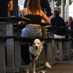 Temperance Hotel1 150x150