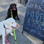 The Firestation 8 150x150