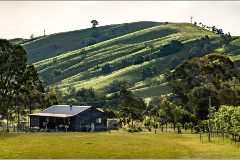 wattle lodge dog friendly accommodation 17 96 768x512