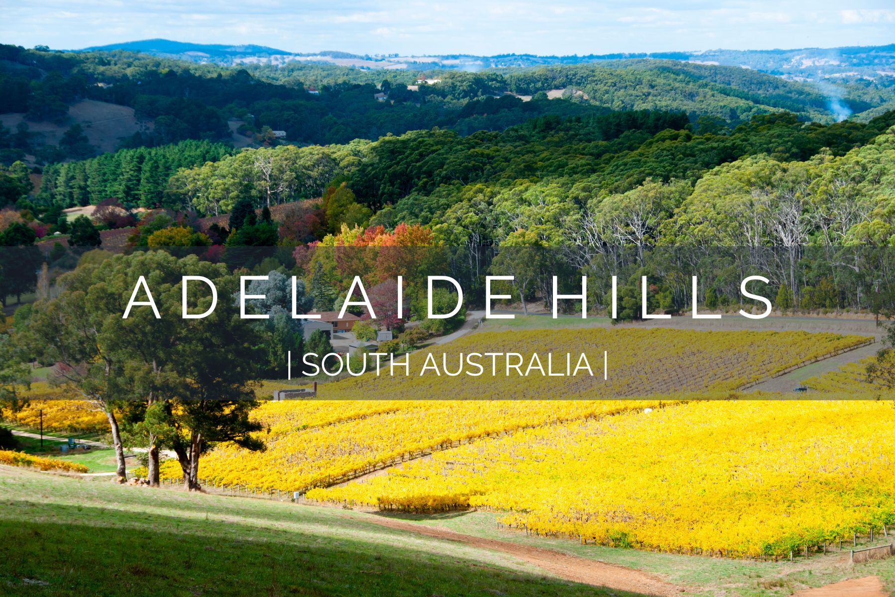 ADELAIDE HILLS HERO