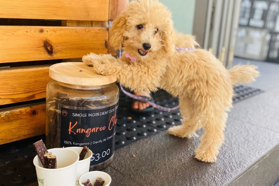 Bostons Espresso 100