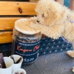 Bostons Espresso 101 150x150