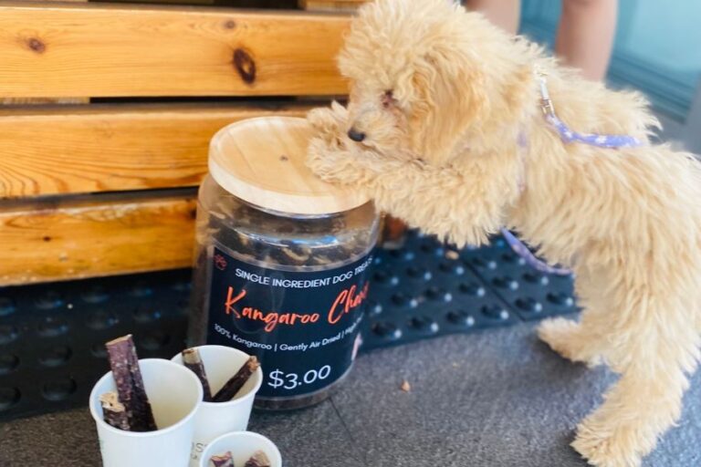 Bostons Espresso 101 768x512