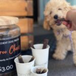 Bostons Espresso 102 150x150