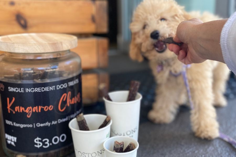 Bostons Espresso 102