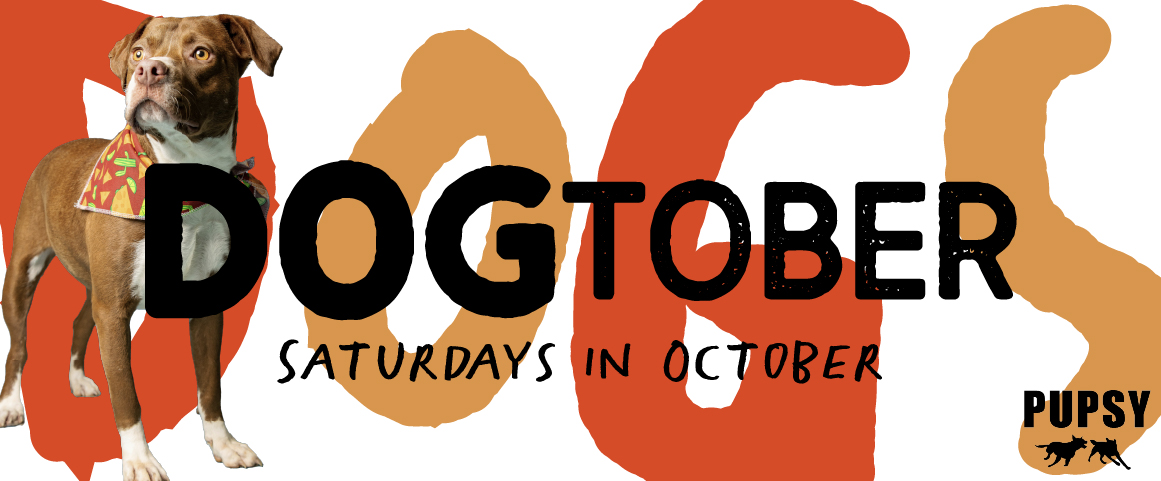 DOGtober The Carrington