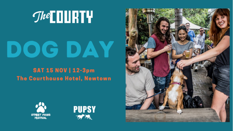 Dog Day Courthouse NEW DATE 768x432