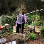 Joans Pantry 8 150x150