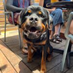 The Rose Hotel Mandurah 2 150x150