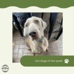 Woodside Providore 10 150x150