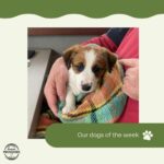 Woodside Providore 11 150x150