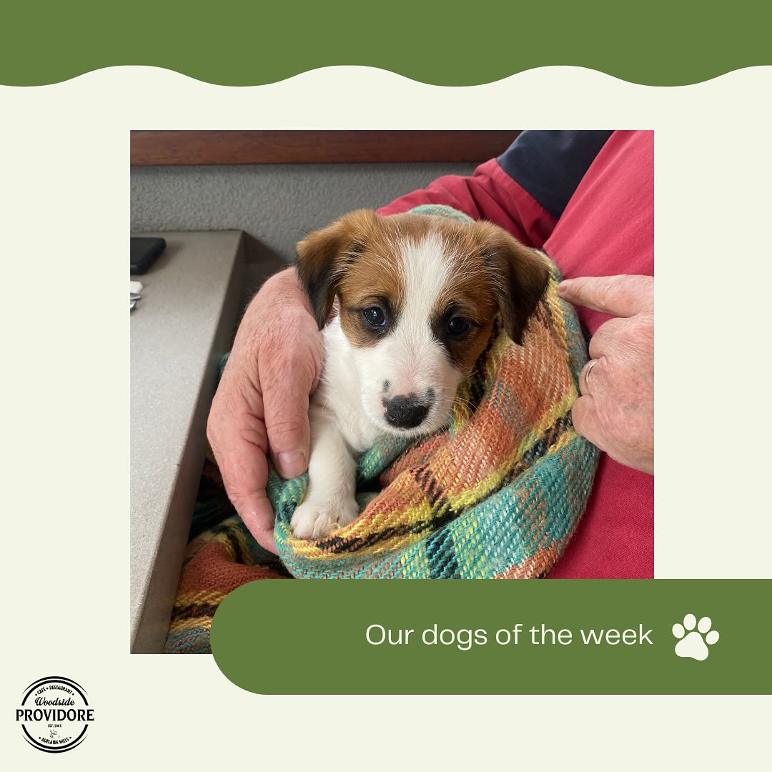 Woodside Providore 11