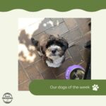 Woodside Providore 12 150x150