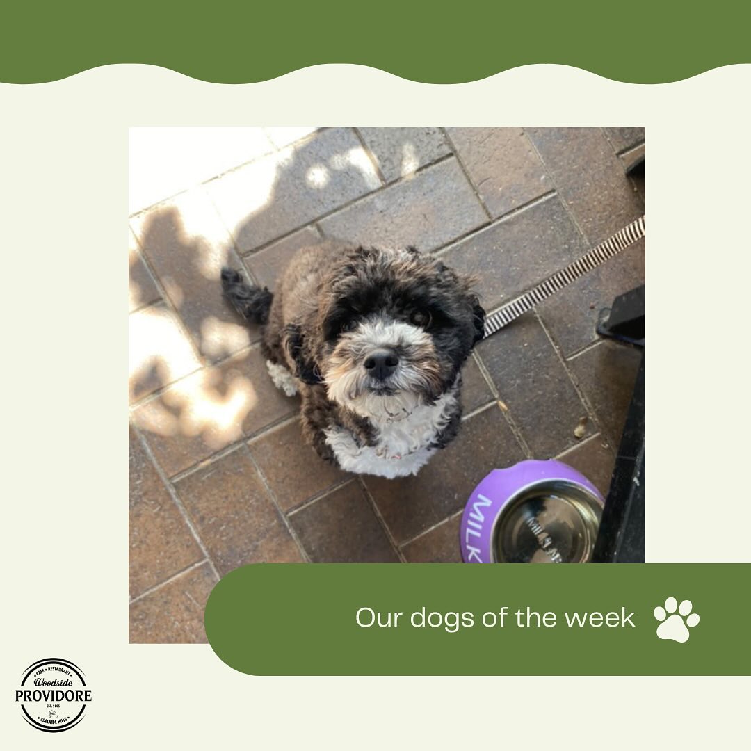 Woodside Providore 12