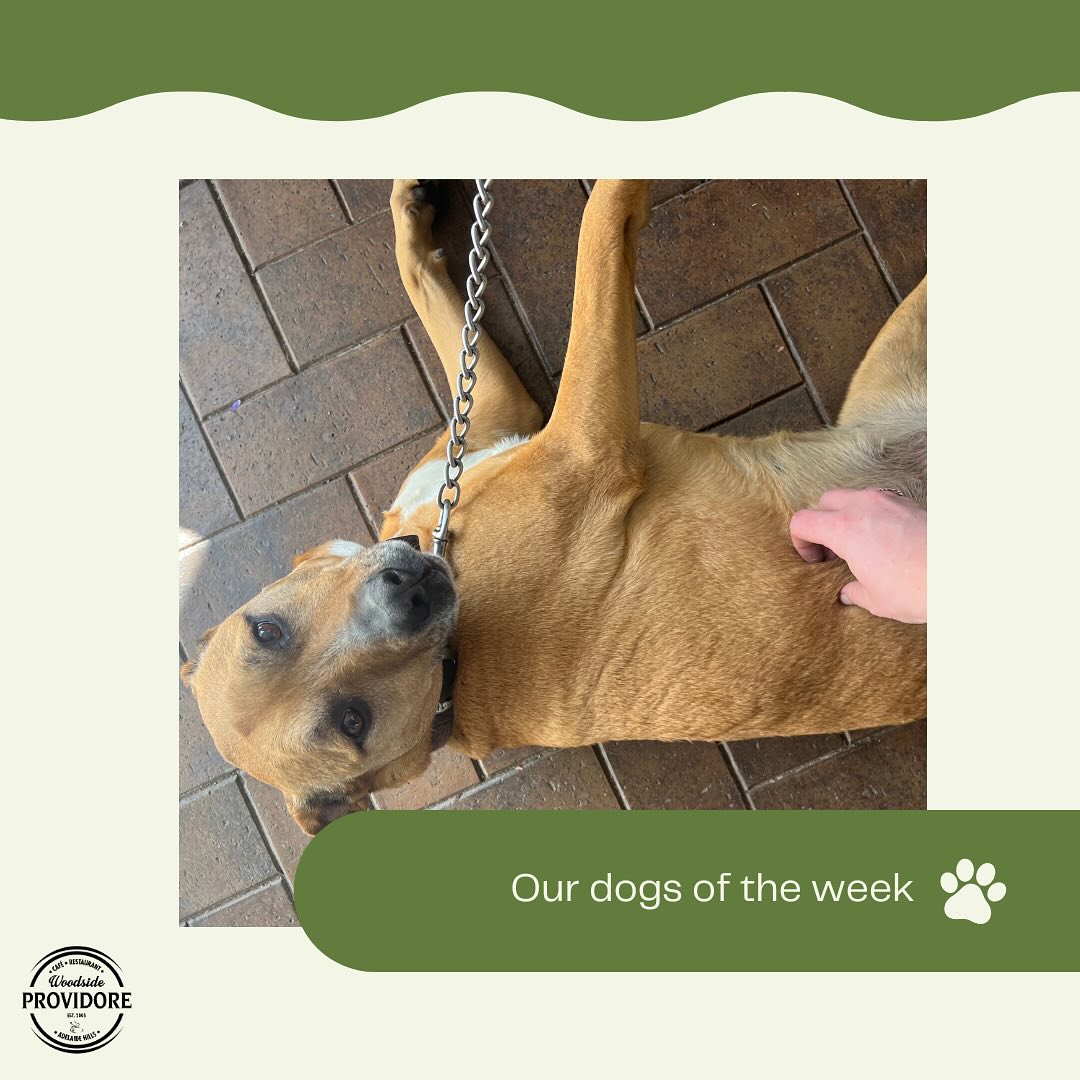 Woodside Providore 13