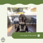 Woodside Providore 14 150x150