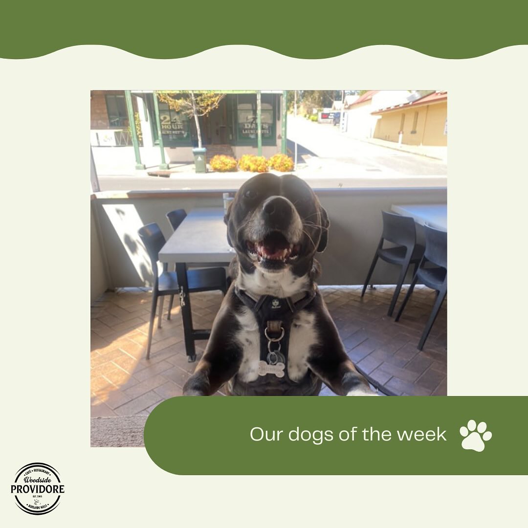 Woodside Providore 14