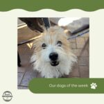 Woodside Providore 15 150x150