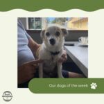 Woodside Providore 16 150x150