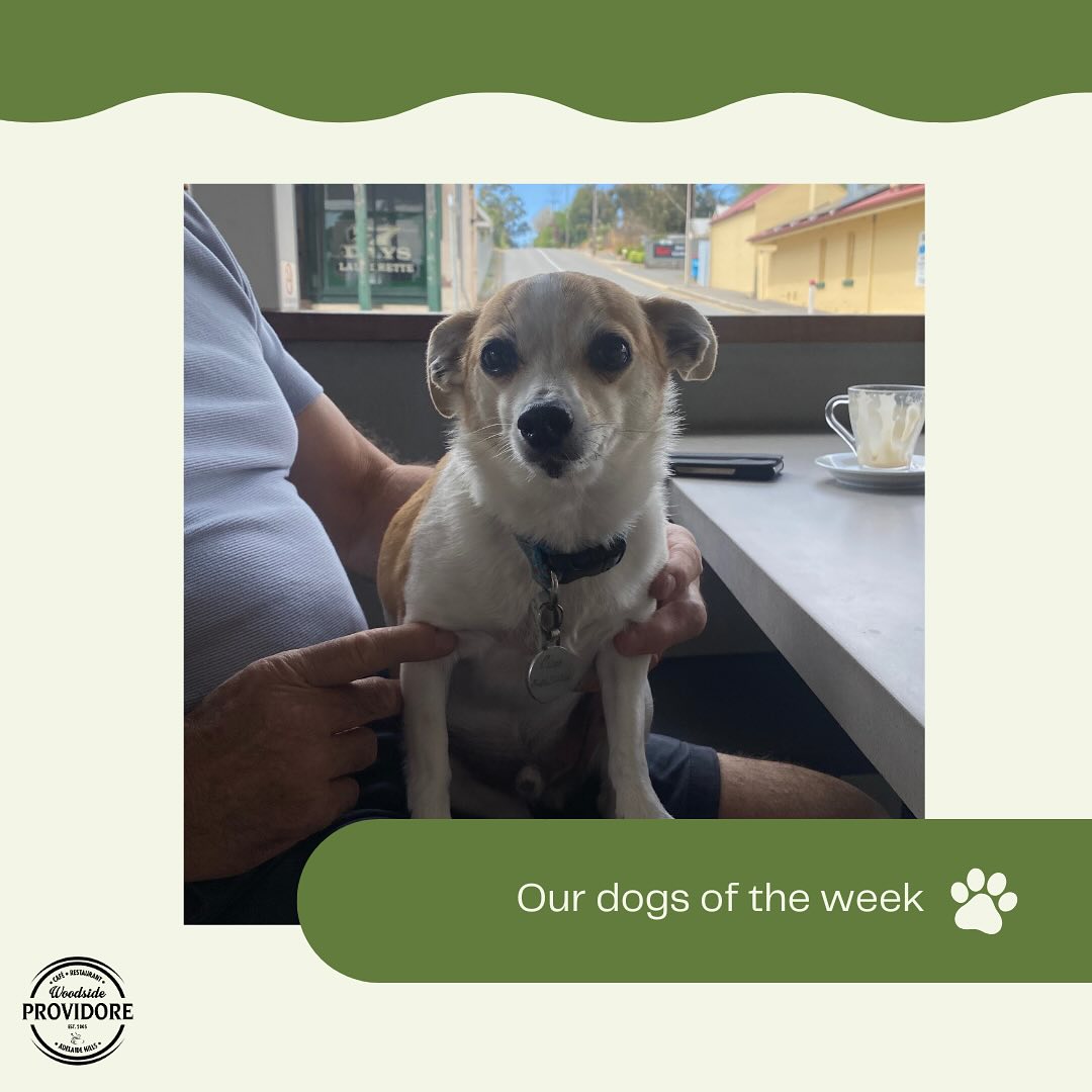 Woodside Providore 16