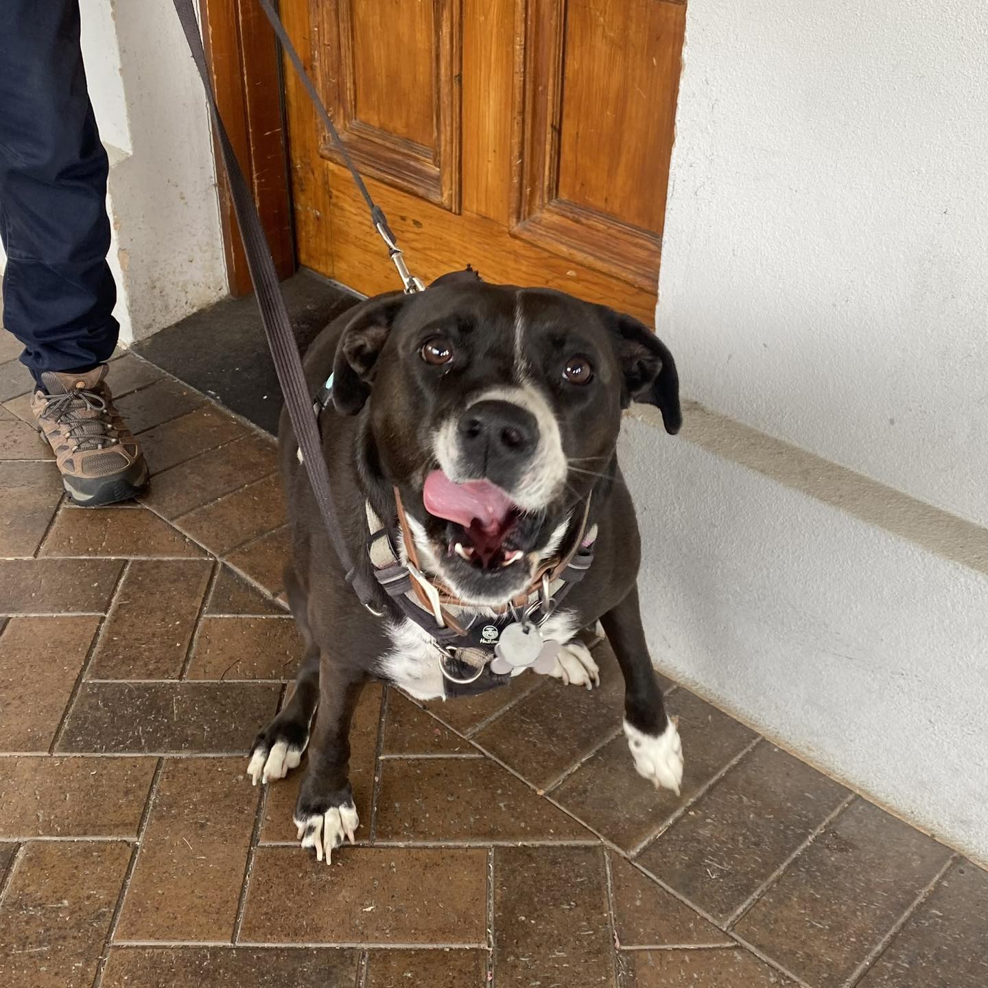 Woodside Providore 18