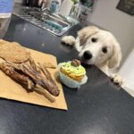 Woofalicious 3 150x150