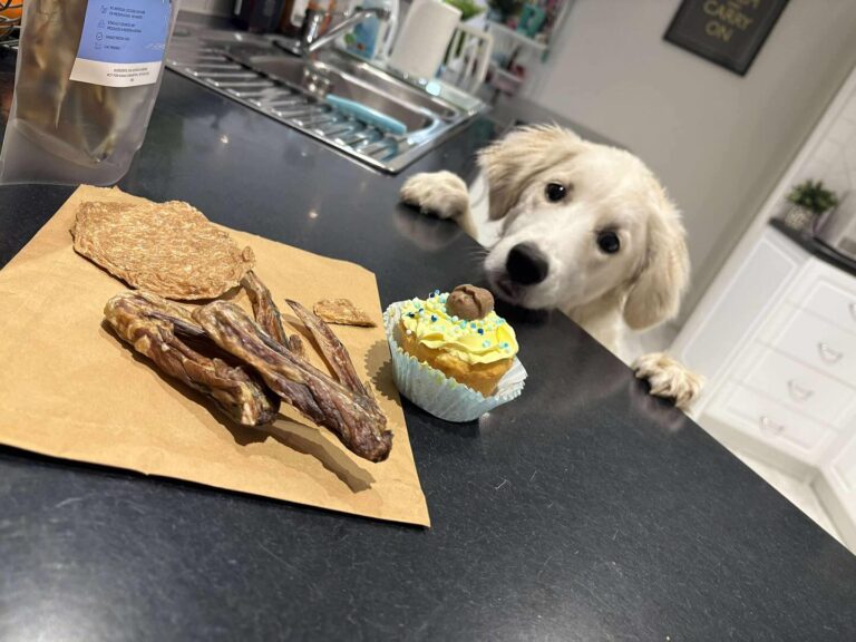 Woofalicious 3 768x576