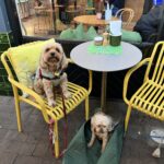 Fred Eatery 1 150x150