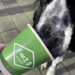 Fred Eatery 10 150x150